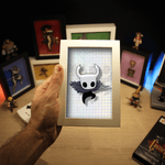 Hollow knight