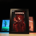 Dioramax - Cadre lumineux LED Control | Déco Gaming-room | Tableau lumineux | Affiche jeux vidéo | Idée cadeau gamer | Retro-gaming