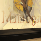 Dioramax - Cadre lumineux LED Magna Carta | Déco Gaming-room | Tableau lumineux | Affiche jeux vidéo | Idée cadeau gamer | Retro-gaming
