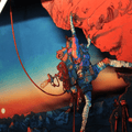 Dioramax - Cadre lumineux LED Cairn Déco Gaming-room | Tableau Cairn| Affiche jeux vidéo | Idée cadeau gamer | Retro-gaming