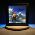 Dioramax - Cadre lumineux LED FF10 | Déco Gaming-room | Tableau lumineux | Affiche jeux vidéo | Idée cadeau gamer | Retro-gaming
