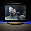 Dioramax - Cadre lumineux LED Mononoke | Déco Gaming-room | Tableau lumineux | Affiche jeux vidéo | Idée cadeau gamer | Retro-gaming