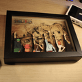 Dioramax - Cadre lumineux One piece| Déco Gamingroom | Tableau Lumineux Affiche jeux vidéo | Idée cadeau 