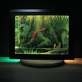 Dioramax - Cadre lumineux LED Secret of Mana | Déco Gaming-room | Tableau lumineux | Affiche jeux vidéo | Idée cadeau gamer | Retro-gaming