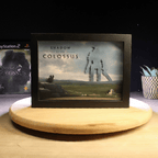Dioramax - Cadre lumineux SOTC| Déco Gamingroom | Tableau SOTC| Affiche jeux vidéo | Idée cadeau 